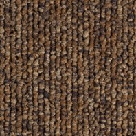 Season - Summer Winter