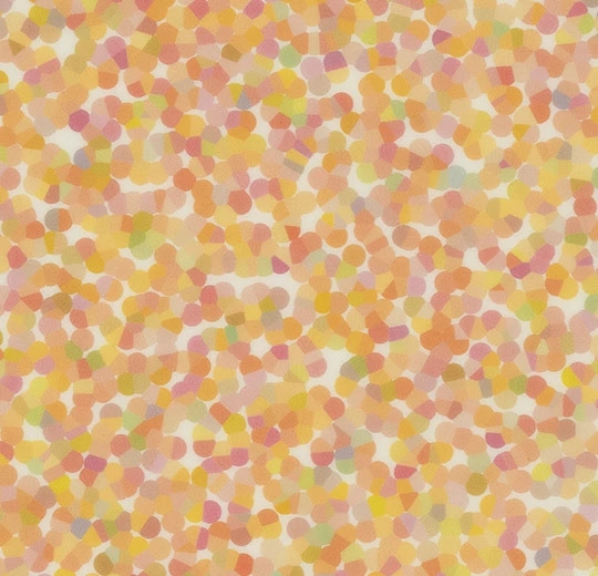 Sarlon Graphic & Colour 19dB