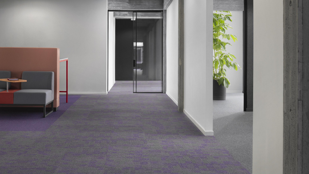 IN_Essence_3820_9975_EssenceMaze_3821_001.jpg IN_Essence_3820_9975_EssenceMaze_3821_001.jpg