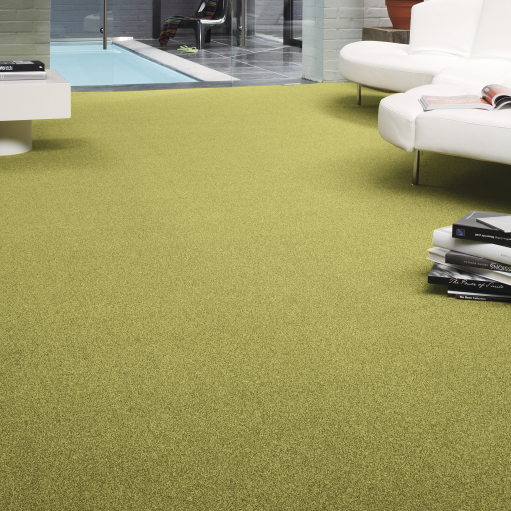 4101_roomset_carpet_script_1.png 4101_roomset_carpet_script_1.png