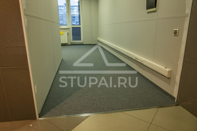 Офис компании 4 лапы