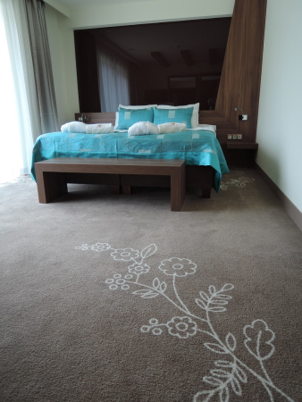 Easy program Vanity 1000