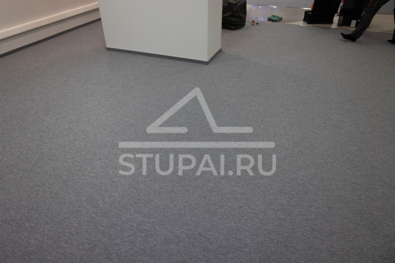 Офис компании 4 лапы